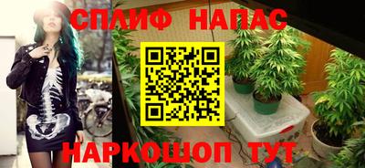 ECSTASY Тулун