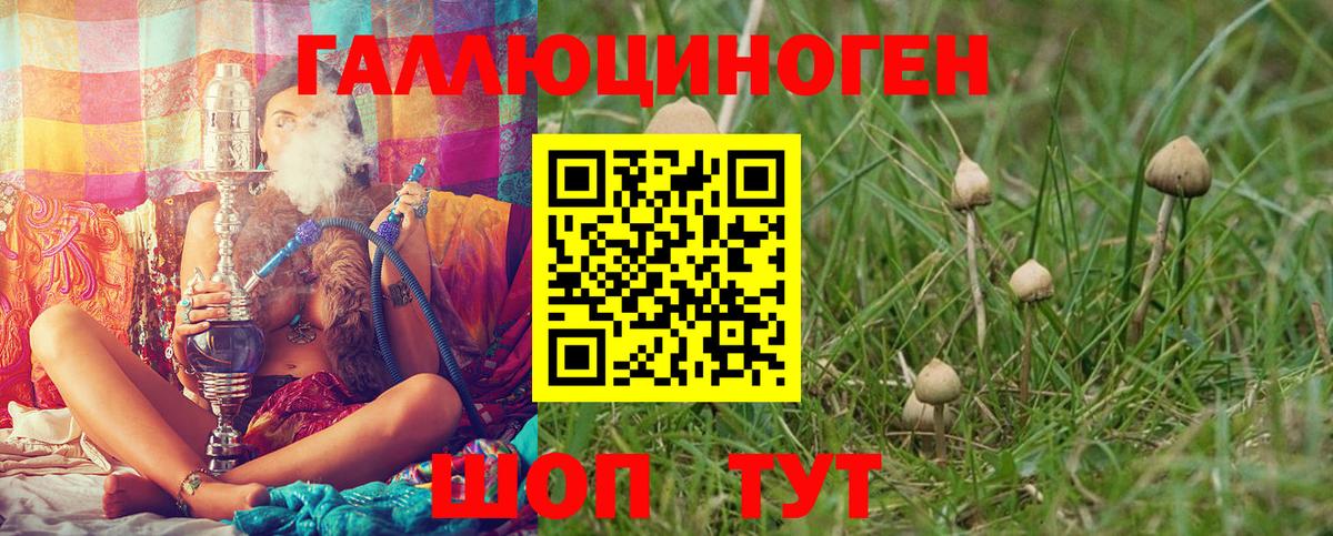 сколько стоит  Вход с VPN  Набережные Челны  Псилоцибиновые грибы ЛСД 